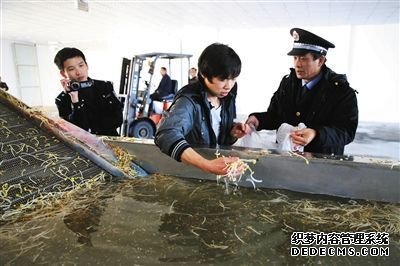 　执法人员正让一名员工从洗豆芽池内取样，准备带回检测化验。