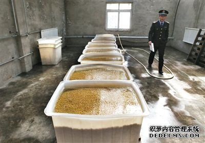 “基地”的豆芽车间内浸泡着大量黄豆，执法人员正在现场勘查。