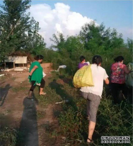 河北百亩梨园遭村民哄抢 砖墙被推倒职工被打