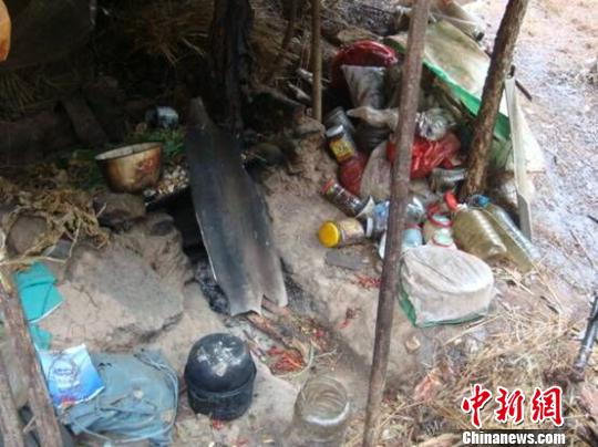 图为刘某搭建的窝棚　杨乔云　摄