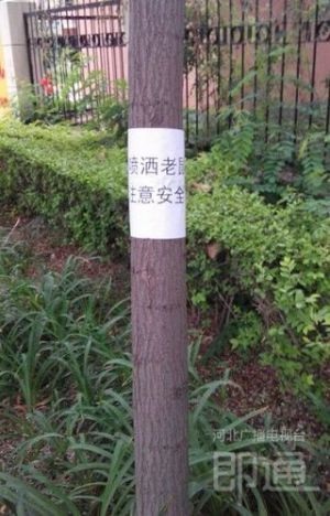 请留意投放标志，遛狗的市民也要注意。