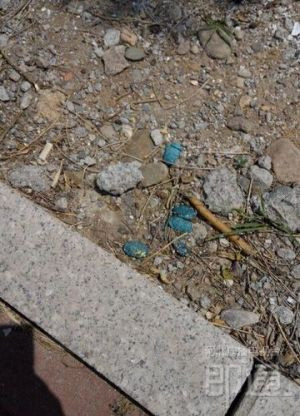 鼠药颜色鲜艳，容易被儿童误以为是糖块捡起来食用，家长要注意。