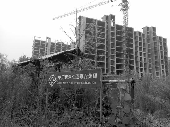白志明旗下的中国建设企业联合集团有限公司