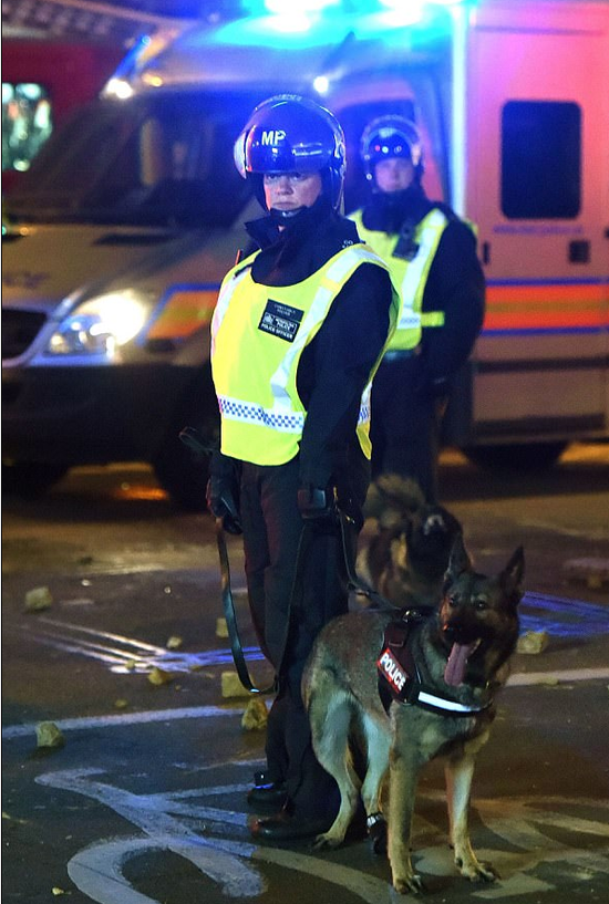  警方带警犬到现场