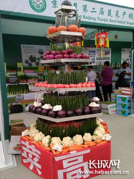 蔬菜“展架”。聂承华 摄