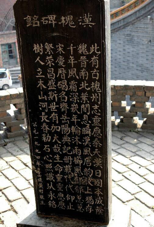 相传此槐为汉代所植，树干高达30余米，胸径2.49米，主干高6.1米，冠幅东西24.8米，南北25.2米，一级分四枝，西面一枝被锯，南面一枝风折。