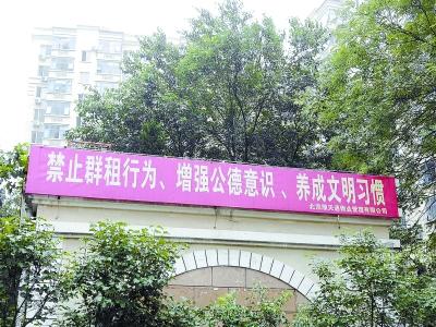 北京地下室群租又抬头：月租800元住两月交一年杂费